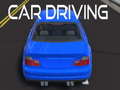 游戏Car Driving