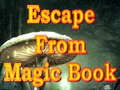 游戏Escape From Magic Book