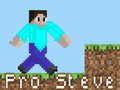 游戏Pro Steve