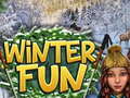 游戏Winter Fun