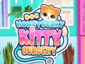 游戏Doc HoneyBerry Kitty Surgery