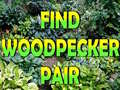 游戏Find Woodpecker Pair 