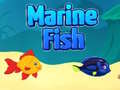 游戏Marine Fish