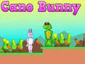 游戏Cano Bunny
