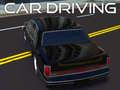 游戏Car Driving