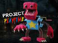 游戏Project Play Time