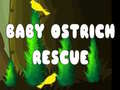 游戏Baby Ostrich Rescue