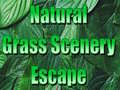 游戏Natural Grass Scenery Escape