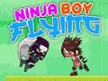 游戏Ninja Boy Flying