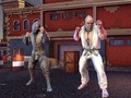 游戏World Of Fighters: Iron Fists