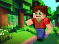 游戏Minicraft