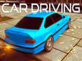 游戏Car Driving