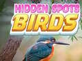 游戏Hidden Spots Birds