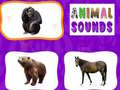 游戏Animal Sounds