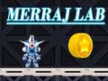 游戏Merraj Lab