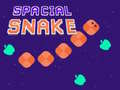 游戏Spacial Snake