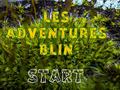 游戏Les Adventures Blin