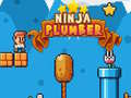 游戏Ninja Plumber