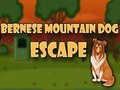 游戏Bernese Mountain Dog Escape