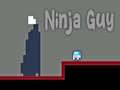 游戏Ninja Guy