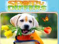 游戏Spot&Differs