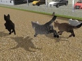 游戏Run Cat Cat Race