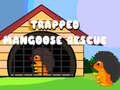 游戏Trapped Mangoose Rescue