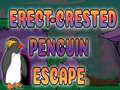 游戏Erect Crested Penguin Escape