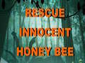 游戏Rescue Innocent Honey Bee 
