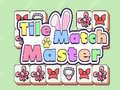 游戏Tile Match Master
