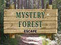 游戏Mystery Forest