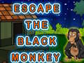 游戏Escape The Black Monkey
