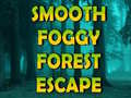 游戏Smooth Foggy Forest Escape 