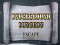 游戏Underground Dungeon Escape
