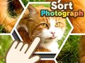 游戏Sort Photograph