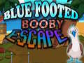 游戏Blue Footed Booby Escape