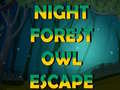 游戏Night Forest Owl Escape