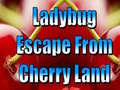 游戏Ladybug Escape From Cherry Land