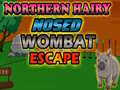 游戏Northern hairy nosed wombat Escape