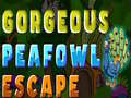 游戏Gorgeous Peafowl Escape