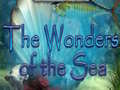 游戏New Sea Wonders