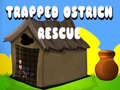 游戏Trapped Ostrich Rescue