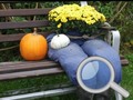 游戏Autumn Garden Find 100 butterflies