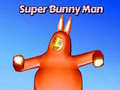 游戏Super Bunny Man