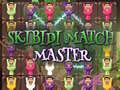 游戏Skibidi Match Master