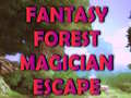 游戏Fantasy Forest Magician Escape