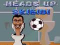 游戏Heads Up Skibidi