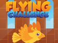 游戏Flying Challenge