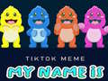 游戏TikTok Meme My Name Is