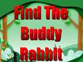 游戏Find The Buddy Rabbit